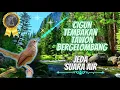 Download Lagu Cigun Bren Tembakan Gelombang Tawon ++ Jeda Suara Air