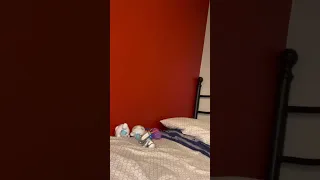 don t move drop the gun pitch change 