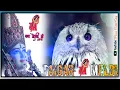 Download Lagu New Meldi Maa Nu full screen 🙏🙏| new song Vijay suvada{ 👣👣}™ DJ remix song#paraseditking