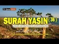 Download Lagu Surah Yasin / Yaseen  dan Terjemahan - Ustadz Zain Abu Kautsar