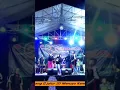 Download Lagu Istri setia