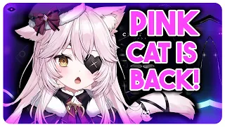 Nyanners Debuts Her New Model Commander Cat