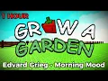 Download Lagu Grow a Garden Soundtrack - Morning Mood (1 HOUR VERSION)