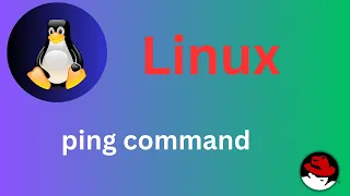 Basic Linux Commands ping command Explained