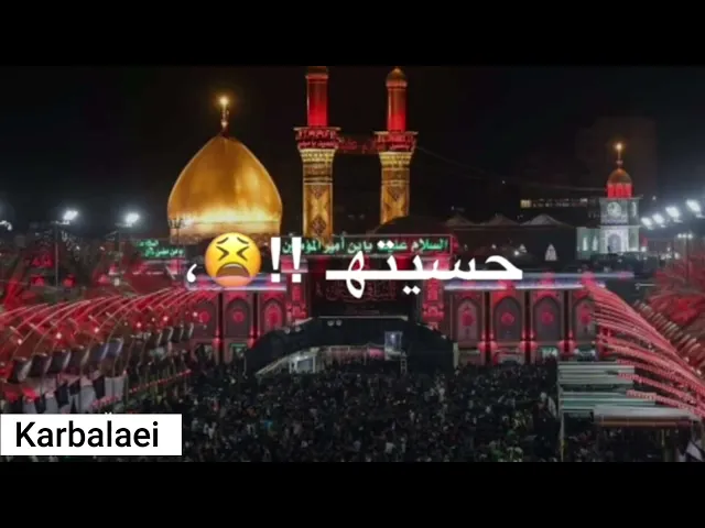 شگد حلو طعم المجالس زينبي حسيتهـ | باسم الكربلائي