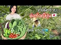 Download Lagu เก็บผักขายในญี่ปุ่น ชุดผักไทยรวมปลอดสาร ให้เยอะมาก