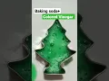 Our Favorite Christmas Science Cookies