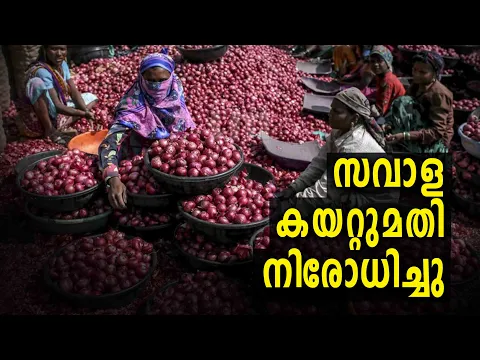സവാളയുടെ കയറ്റുമതി കേന്ദ്രം നിരോധിച്ചു #onionsales #onionexport #channeliam