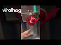 When You Let Your Kids Move the Elf on the Shelf ViralHog