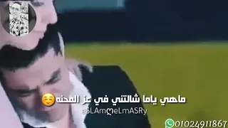 مهرجان البت اللي انا بعشقها حالة واتس 