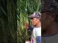 Download Lagu Bikin SULING sakti #shorts #prank