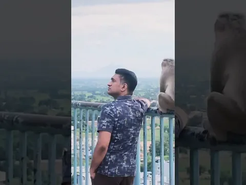 बंदर ने पीछे से दिया Surprise! दोस्त का Reaction हुआ Viral 😱😂