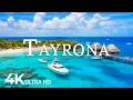 Download Lagu FLYING OVER TAYRONA (4K UHD) – Soothing Music Along With Beautiful Nature Video - 4K Video UHD