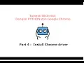 Tutorial Bikin Bot Dengan Python Chrome dan Selenium Part 4 Install Chrome driver
