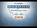 Find Any Device Vendor Using a MAC Address