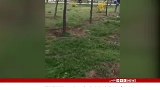 اخبار ساعت شش عصر 