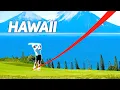 We played a championship golf course in Hawaii