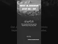 Surat Al Baqarah Ayat 155 - 157 || Bacaan Al Qur'an Merdu