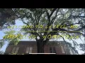 TOP FIVE PLACES TO VISIT in Laurel Mississippi Pearl s Diner lunch EPIC SUMMER ROAD TRIP Episode 6