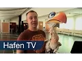 Download Lagu Bühne frei - Musicaltheater im Hamburger Hafen