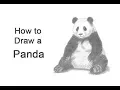 How to Draw a Panda Sitting