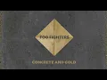 Foo Fighters - Run (Audio)