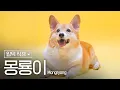 💛몽룡이 입덕 직캠💛｜몽룡 (MONGRYONG)