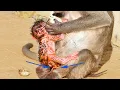 Download Lagu Young Mother MARY's First Newborn Really Good Healthy And Cute So Lovely