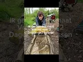 Download Lagu Ik hoop weer veel te vangen boys