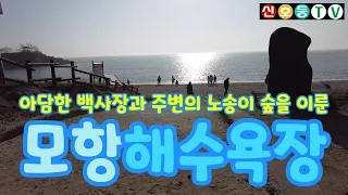 부안여행 & 부안해수욕장 - 부안 모항해수욕장 (아담한 백사장과 주변이 노송이 숲을 이룬 한적한 해수욕장, 차박의 성지) (모항해수욕장캠핑, 모항해수욕장 차박, 모항해수욕장 낚시) 썸네일