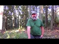 Download Lagu Dřevo z našich lesů živí rakouský státní rozpočet.