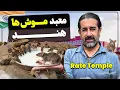 Download Lagu معبد موش‌ها در هند - Rat Temple in India
