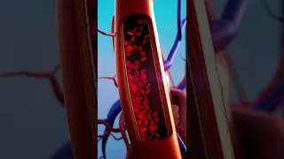 كم مرة يخفق فيها القلب وكم يضخ من الدم في اليوم الواحد 