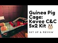 Guinea Pig Cage Kavee C C 5x2 Cage Kit Set Up and Review