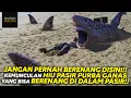 Download Lagu HIU YANG BISA BERENANG DI PASIR - Alur Film Sand Sharks (2011)