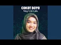 Download Lagu Cokot Boyo