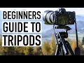 Find Your Perfect Shot Tripod Tips for Beginners