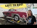 Lagu PARKED FOR 25 YEARS! Will This Abandoned Volvo P1800 Field Find Run?