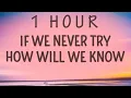Download Lagu [1 HOUR 🕐 ] Stacey Ryan - If we never try how will we know Fall In Love Alone (Lyrics)