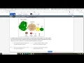 Test nav review of science questions