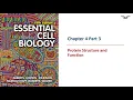 BC PCB 3023 Chapter 4 Protein Structure and Function Part 3