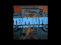 Download Lagu Terminator (DJ Desa Remix)