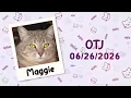 Maggie is OTJ 2026