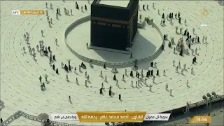 سورة ال عمران بصوت القارئ أحمد محمد عامر 