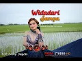 WIDADARI SANGA Lagu Tarling Indramayu || (Cover) Nok Neng Sagita Versi Live Facebook