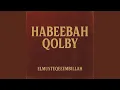 Lagu Habeebah Qolby