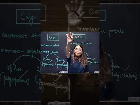 CALYX vs COROLLA Explained in 1 Minute Class 11 Biology -  video for Grade 10