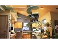 Man Turns His House Into Indoor Cat Playland and Our Hearts Explode