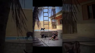 pov: video cassetadas kkkk PARTE 1😂😂😂#meme #engraçado #tombos #funny