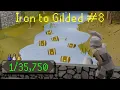 Never expected this 500 Clue Caskets Iron to Gilded